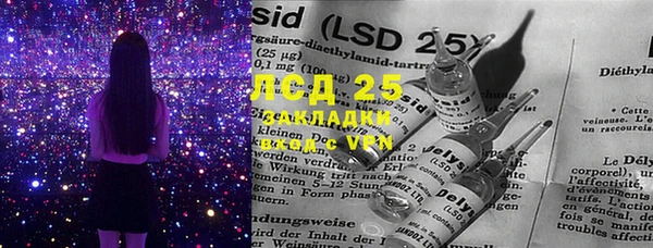 PSILOCYBIN Куйбышев