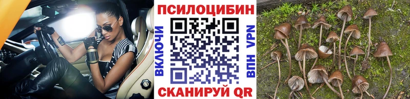 MEGA ссылка  наркота  Шилка  Галлюциногенные грибы Magic Shrooms 